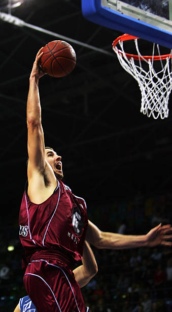 领域的领导 领域的领导